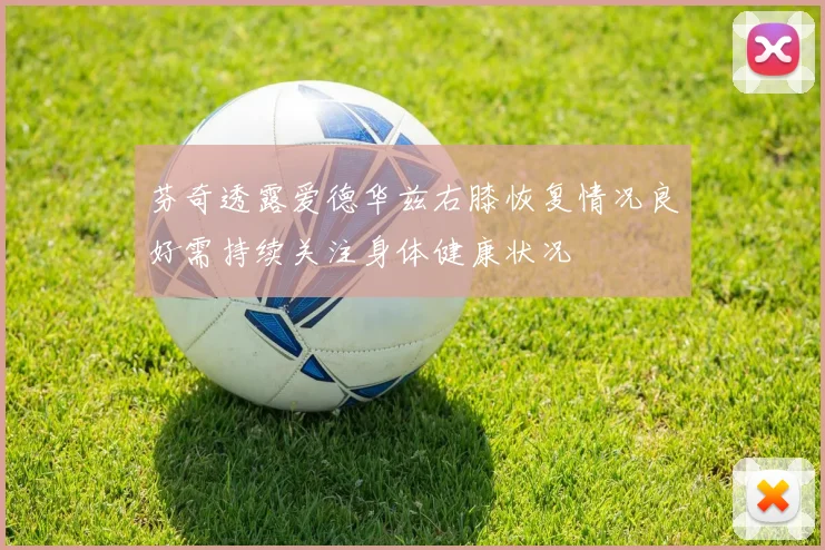 芬奇透露爱德华兹右膝恢复情况良好需持续关注身体健康状况